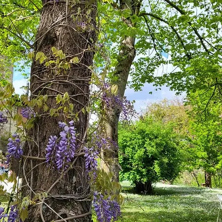Ferienwohnung Sambuco Di Sopra Fratticciola Selvatica Exterior foto