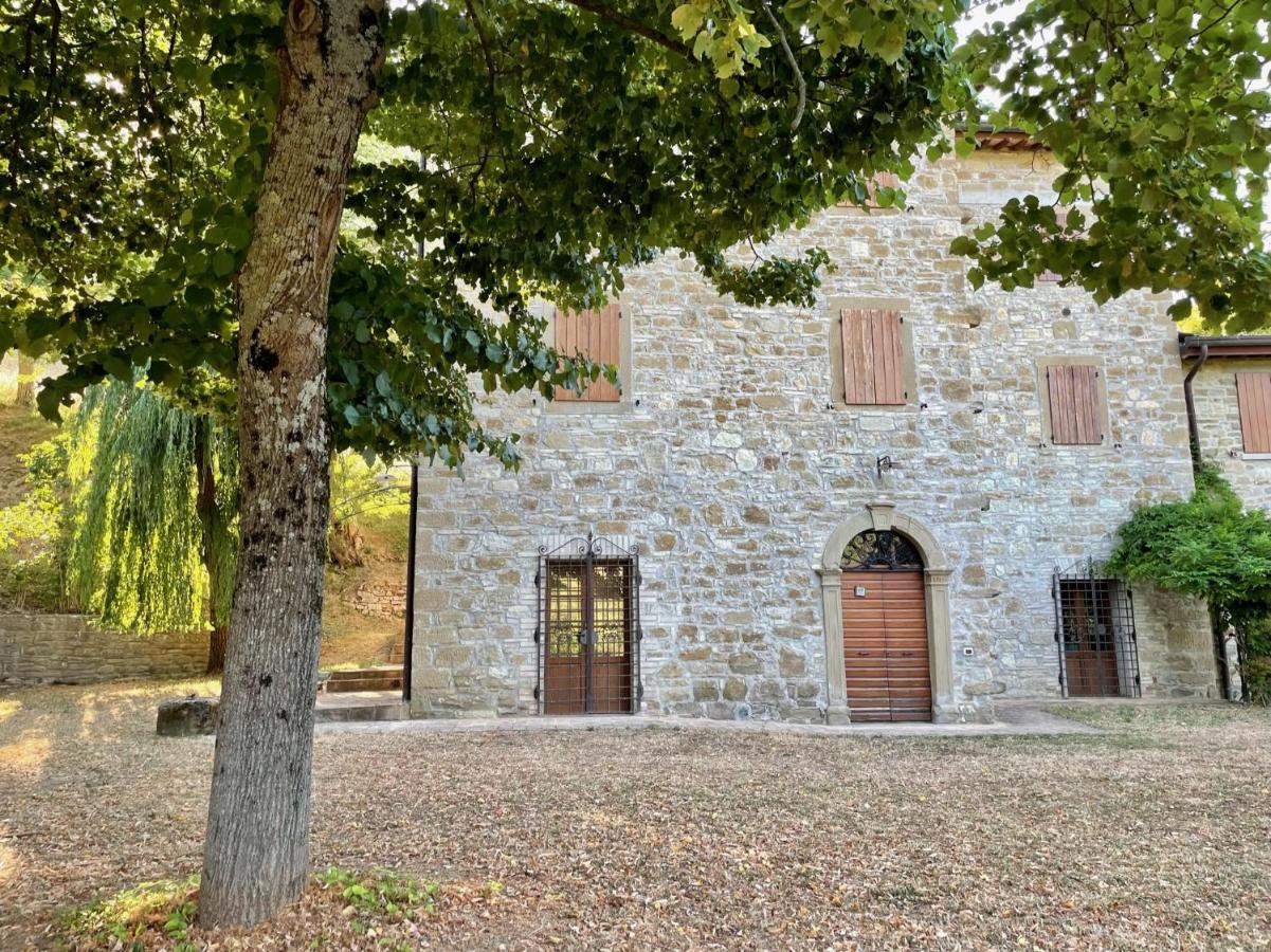 Apartment Sambuco Di Sopra *